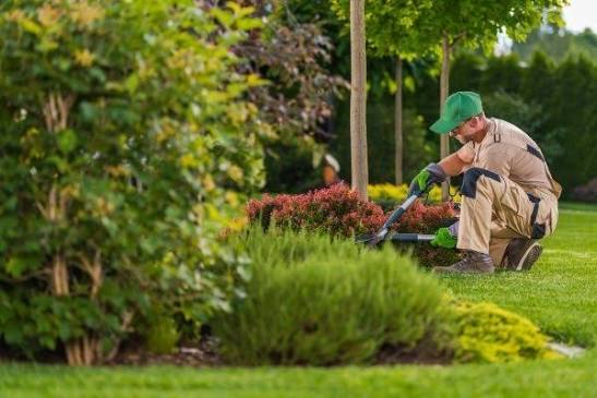 Gardening Services